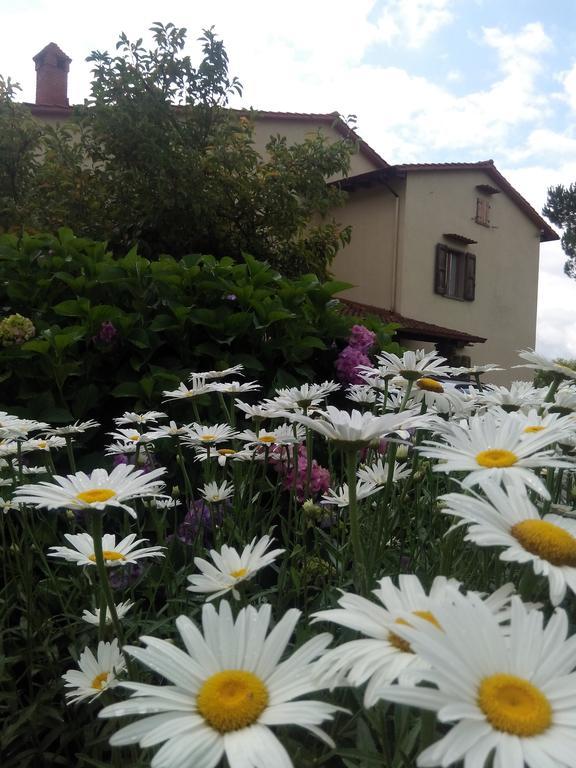 Da Ronald ... A Pian Del Papa Guest House Pratovecchio Exterior photo