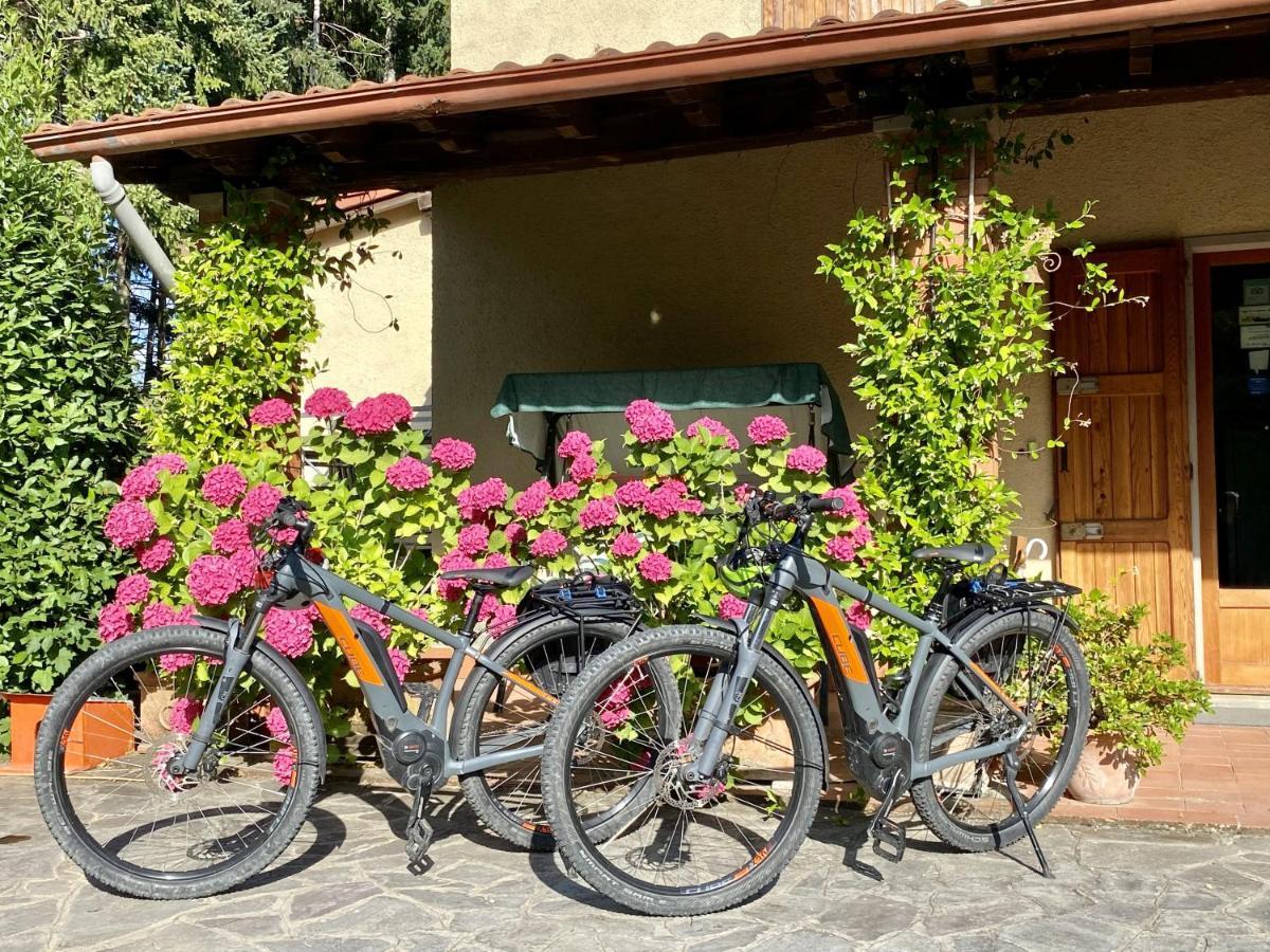 Da Ronald ... A Pian Del Papa Guest House Pratovecchio Exterior photo